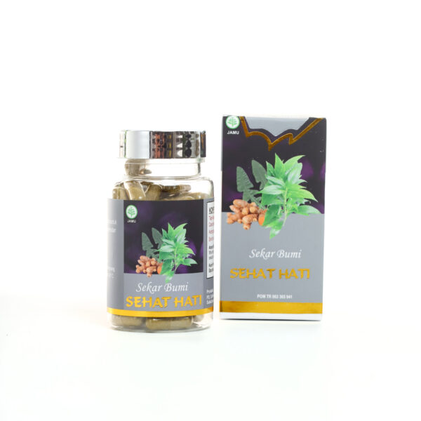 Sehat Hati